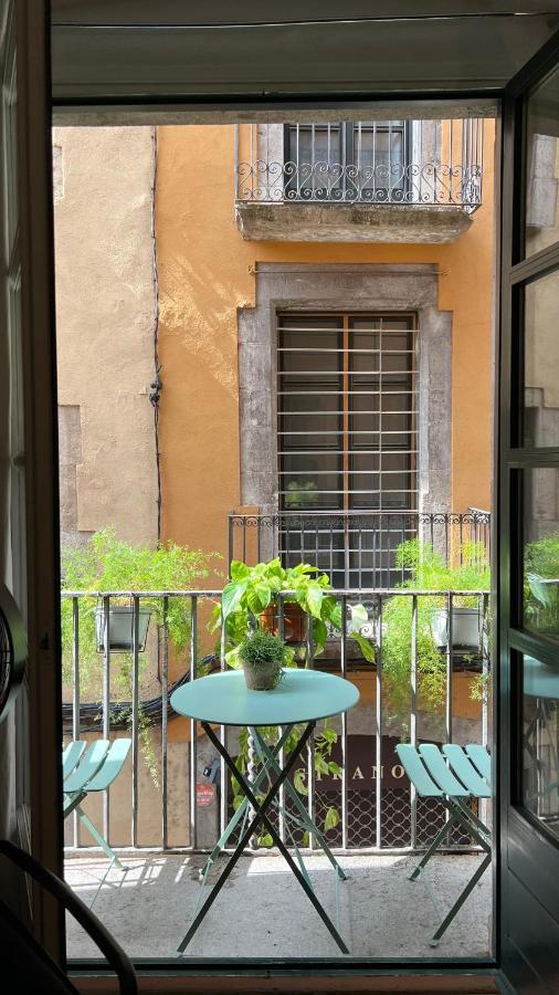 Apartamento Con Encanto Y Terraza En Barri Vell De Girona, El Cul De La Lleona公寓 外观 照片