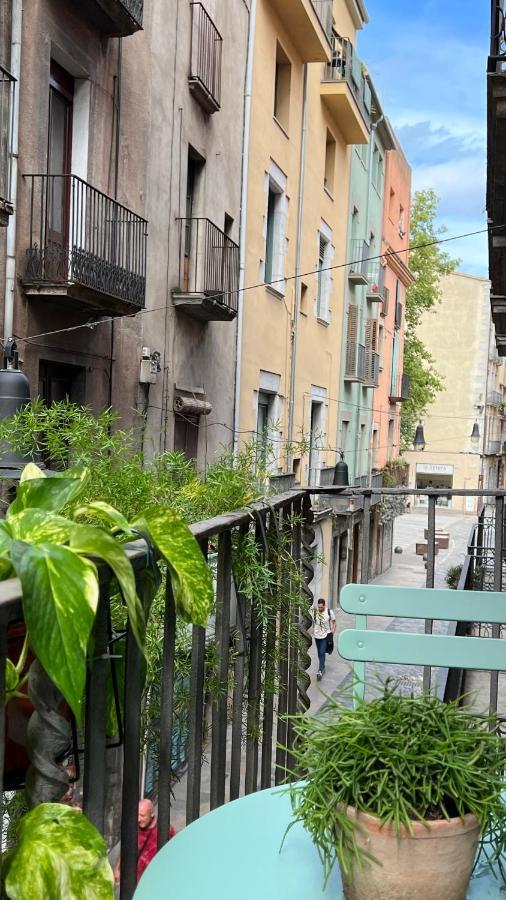 Apartamento Con Encanto Y Terraza En Barri Vell De Girona, El Cul De La Lleona公寓 外观 照片